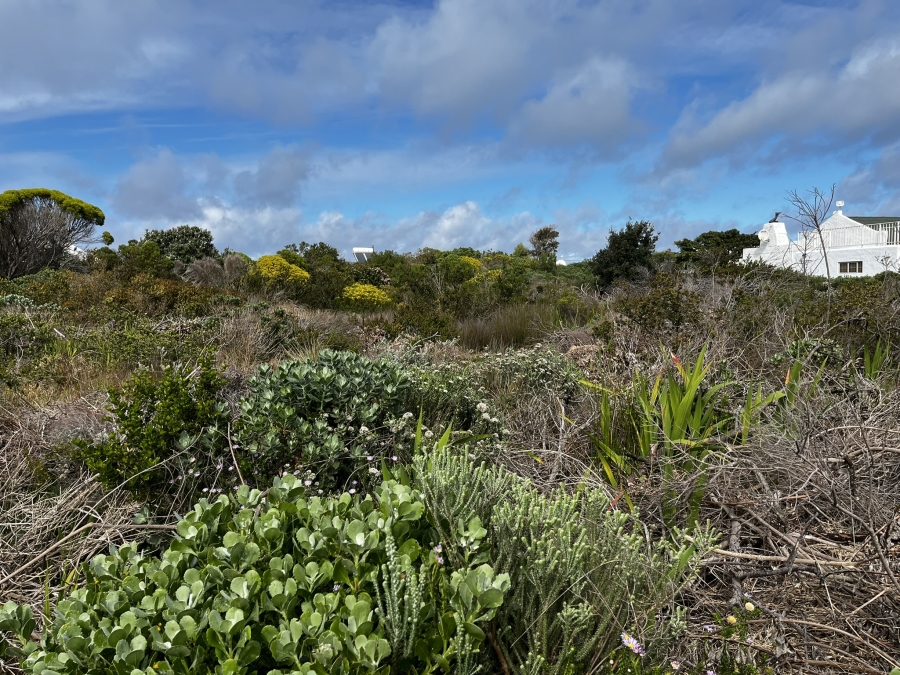 0 Bedroom Property for Sale in Bettys Bay Western Cape
